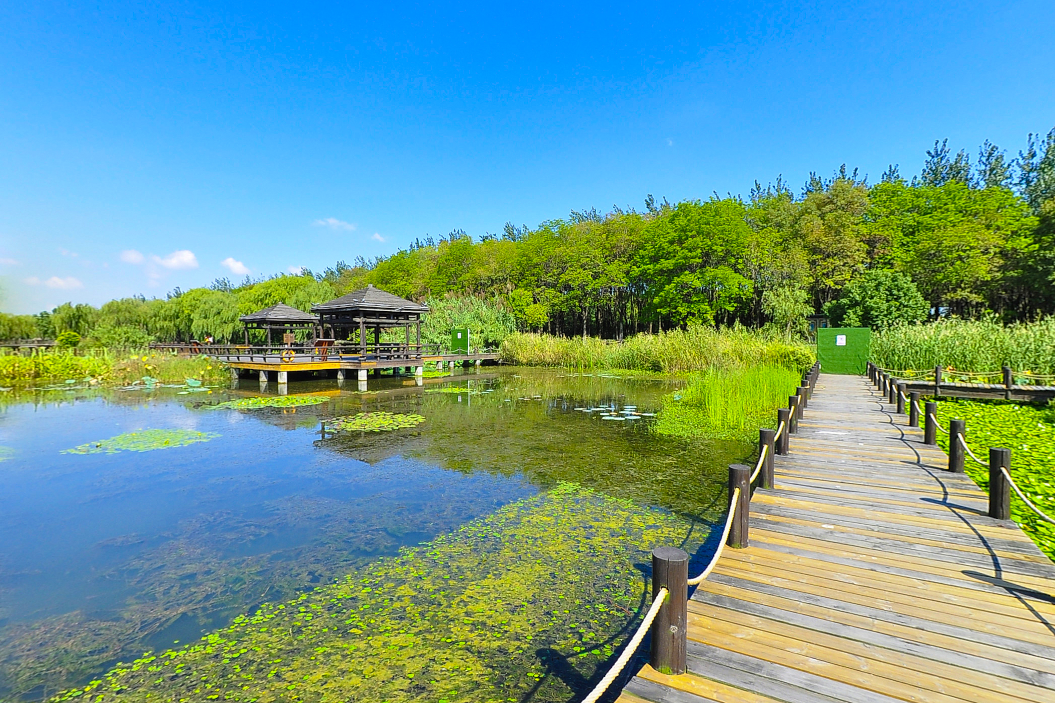 花桥天福国家湿地公园