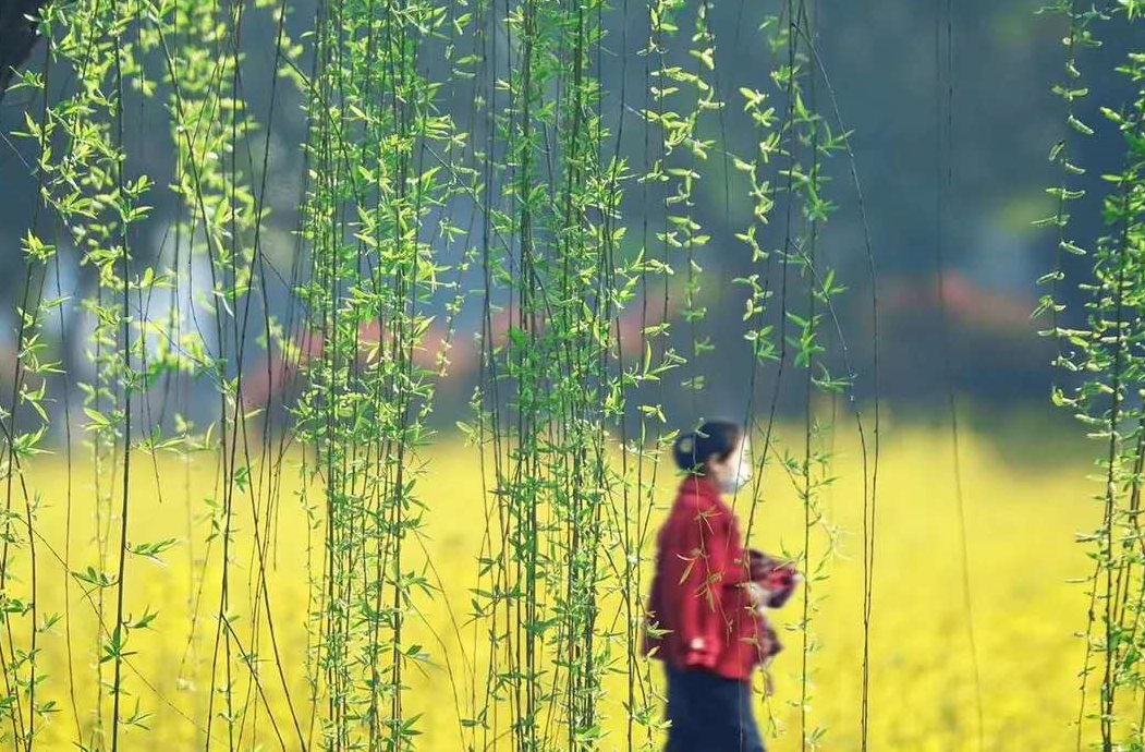 赏千灯佳景，书江南诗意