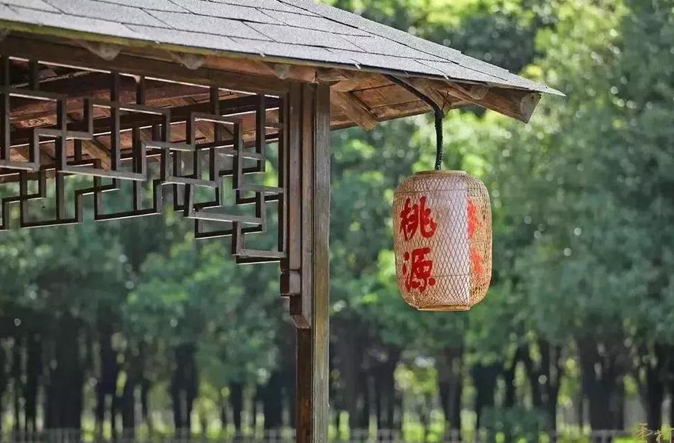 夏江南，趣昆山，田园寻野趣~