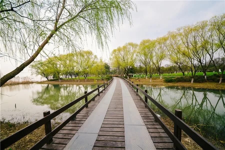 又到春光烂漫时！赏花展、踏青游、尝春味……来巴城，一样不能少！