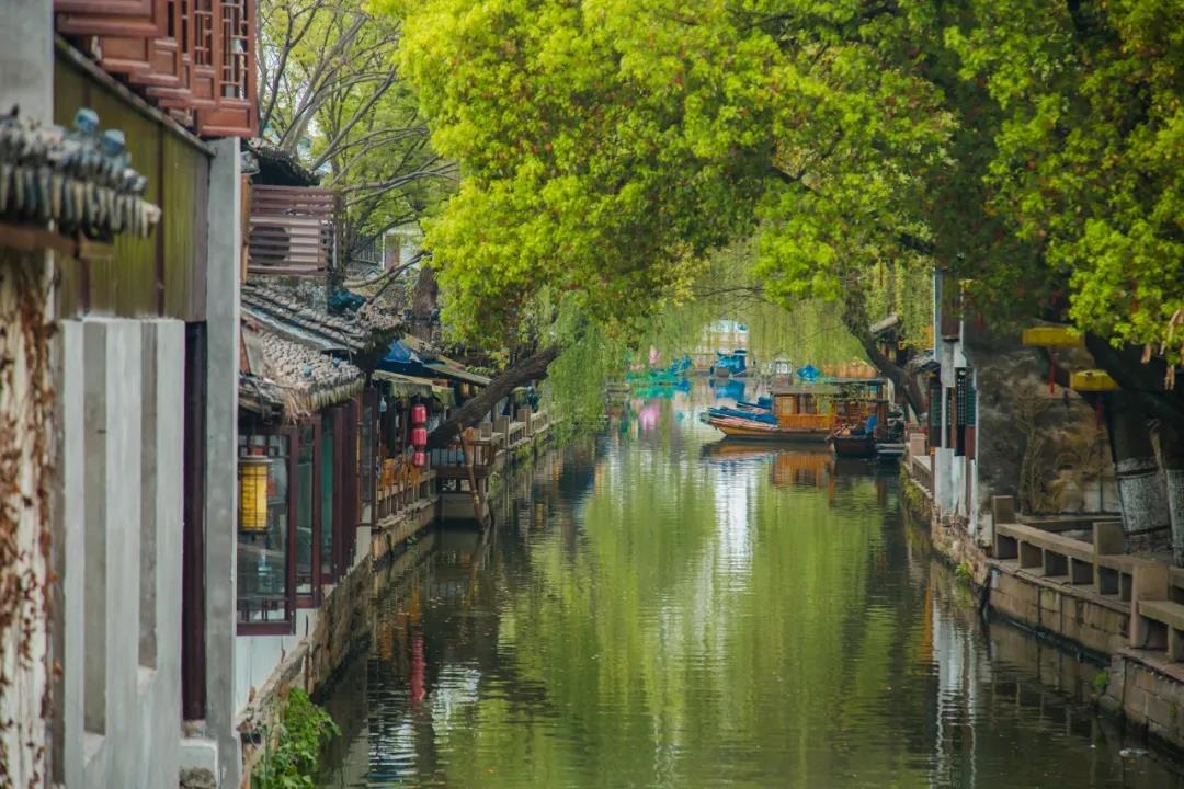 春游记｜四月江南尽菲芳，水乡深处是周庄