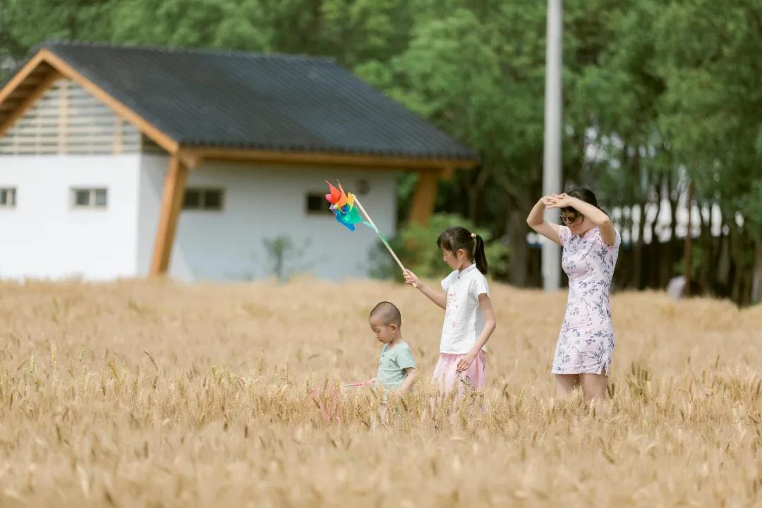 六一 | 一路“童”行，FUN轻松游周庄